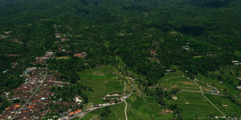 Economia local nas áreas rurais de Santa Catarina